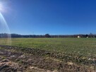 Działka budowlana Simoradz gm. Dębowiec - 7
