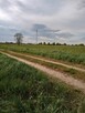 2300m2 Ploski działka budowl WZ wąska13m długa184m 666726744 - 3