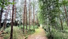 32ar, woda, prąd, ogrodzona-Dziuplina - 5