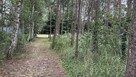 32ar, woda, prąd, ogrodzona-Dziuplina - 6