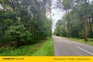 Tuż obok Leśnego Źródełka - Prywatny las 5218 m² - 6