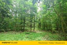 Tuż obok Leśnego Źródełka - Prywatny las 5218 m² - 7