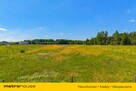 Działka budowlana 3000 m² - Zabłudów, WZ, Prąd - 7