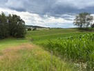 Działka rolna Wyźrał gm. Brzeźnica - 1