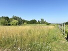 Działka budowlana Piotrkowice gm. Prusice, - 2