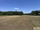 Działka budowlana Kupienin gm. Mędrzechów - 3