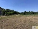 Działka budowlana Kupienin gm. Mędrzechów - 4