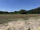 Działka budowlana Kupienin gm. Mędrzechów - 7