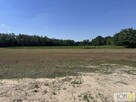 Działka budowlana Kupienin gm. Mędrzechów - 8