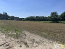 Działka budowlana Kupienin gm. Mędrzechów - 15
