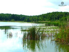 Działka inwestycyjna Ciechocin, - 1