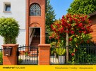 Biznes nad morzem 1307 m² działki 450m od plazy - 16