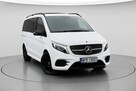 Mercedes V 250 AMG Exclusive Night 4x4 Panorama Lodówka Hak SalonPL Burmester - 2