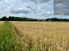 Działka budowlana Zakliczyn - 2