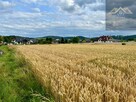 Działka budowlana Zakliczyn - 6