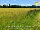 Działka rolna Studzieniec gm. Puszcza Mariańska - 3