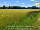 Działka rolna Studzieniec gm. Puszcza Mariańska - 5