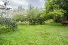 Dom z zabudowaniami z dużą, zieloną działką w cichej okolicy - 11