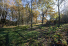 Działka budowlana- Koszyce Wielkie- Tarnów - 1