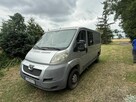 Peugeot Boxer Ducato 7 osobowy