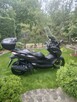 Ładna honda forza 125. - 5