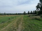 Duża działka budowlana w spokojnej części Cichej Góry - 15