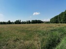 Duża działka budowlana w spokojnej części Cichej Góry - 5
