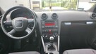 Audi A3 8P 1.9 TDI - 6