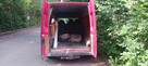 FORD TRANSIT 2003r. - 3