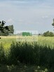DO SPRZEDAŻY DZIAŁKA W PRZYCHOJCU