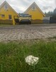 8 domków lub jeden,450m od plaży  w Dębina .