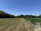 Działka budowlana Kupienin gm. Mędrzechów - 8