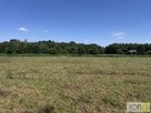 Działka budowlana Kupienin gm. Mędrzechów - 9