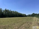 Działka budowlana Kupienin gm. Mędrzechów - 10