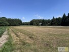 Działka budowlana Kupienin gm. Mędrzechów - 13