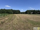 Działka budowlana Kupienin gm. Mędrzechów - 14