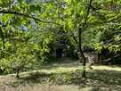 Działka inwestycyjna Nasiłów gm. Janowiec, - 4