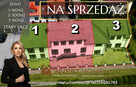 Dom Stary Sącz - 1