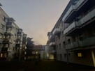 2 pokoje + oddzielna kuchnia | 42 m² | Centrum | 505 000 zł - 11