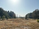 DZIAŁKI INWSTYCYJNE+ DOM W ST. DEWELOPERSKIM - 8