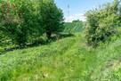 Działka rolno-budowlana Kuńkowce gm. Przemyśl - 7