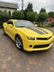 Camaro 3,6V automat - 6