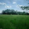 Działka grabowno małe - 2