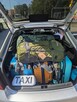 TaXi Knurów KondziX - Transfer Lotniska Pyrzowice i Balice - 16
