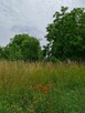 Działka budowlana | Oleszno | 1,04ha - 6
