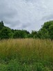 Działka budowlana | Oleszno | 1,04ha - 7