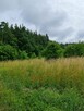 Działka budowlana | Oleszno | 1,04ha - 8