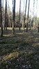 Działka na sprzedaż - 4