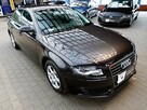 Audi A4 Kupiony w POLSKIM Salonie 1Właściciel od NOWOŚCI Bezwypad SEWISOWANY - 7