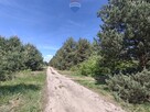 Michałów - urokliwa działka budowlana 5500 m2 - 2